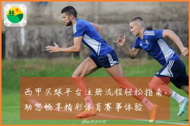 西甲买球平台注册流程轻松指南，助您畅享精彩体育赛事体验