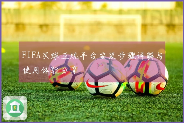 FIFA买球正规平台安装步骤详解与使用体验分享